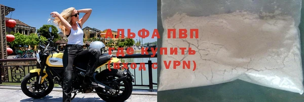 гидра Богородицк