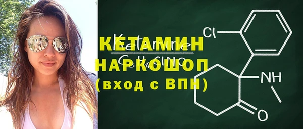 гидра Богородицк