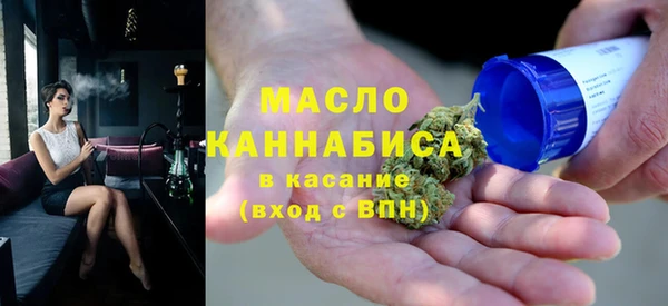 гидра Богородицк