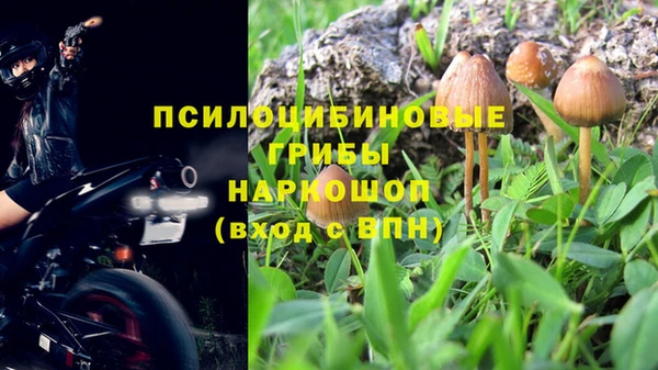 гидра Богородицк