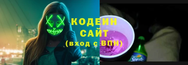 гидра Богородицк