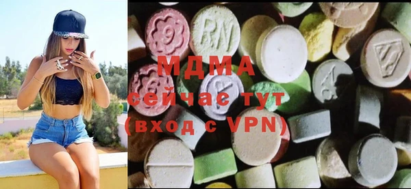гидра Богородицк