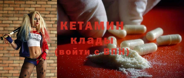гидра Богородицк