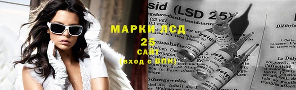 гидра Богородицк